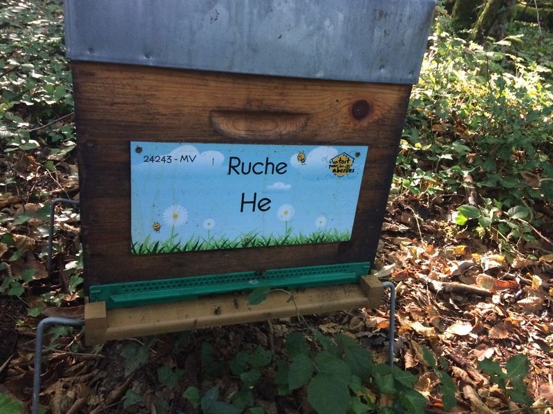 La ruche He