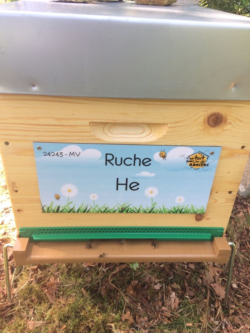 La ruche He