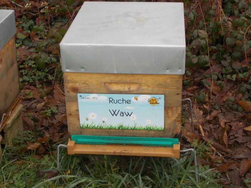 La ruche Waw