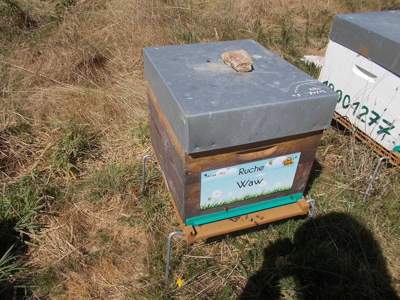 La ruche Waw