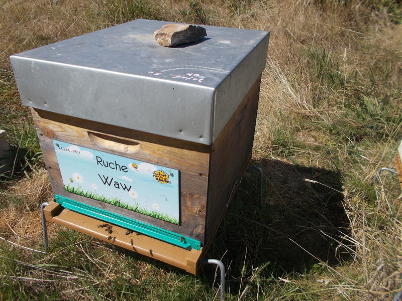 La ruche Waw