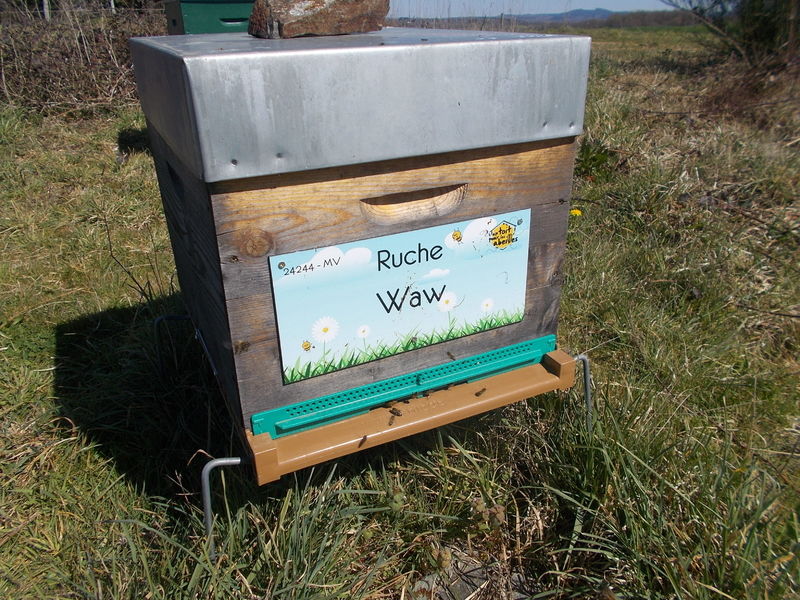 La ruche Waw