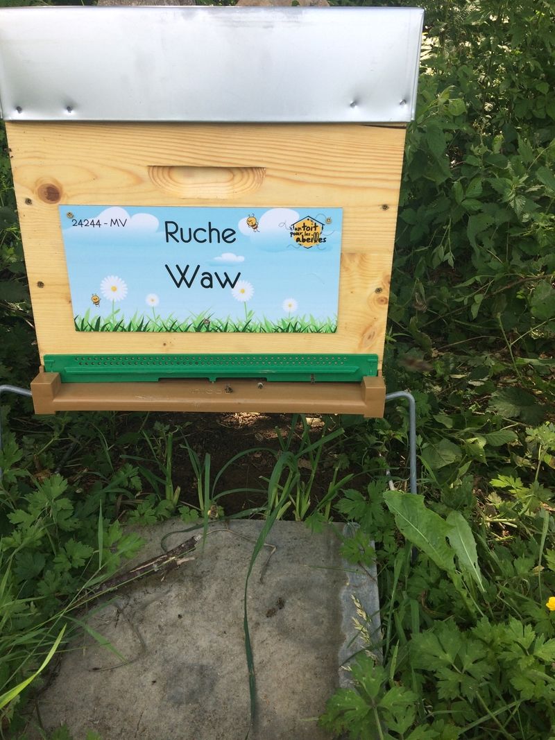 La ruche Waw