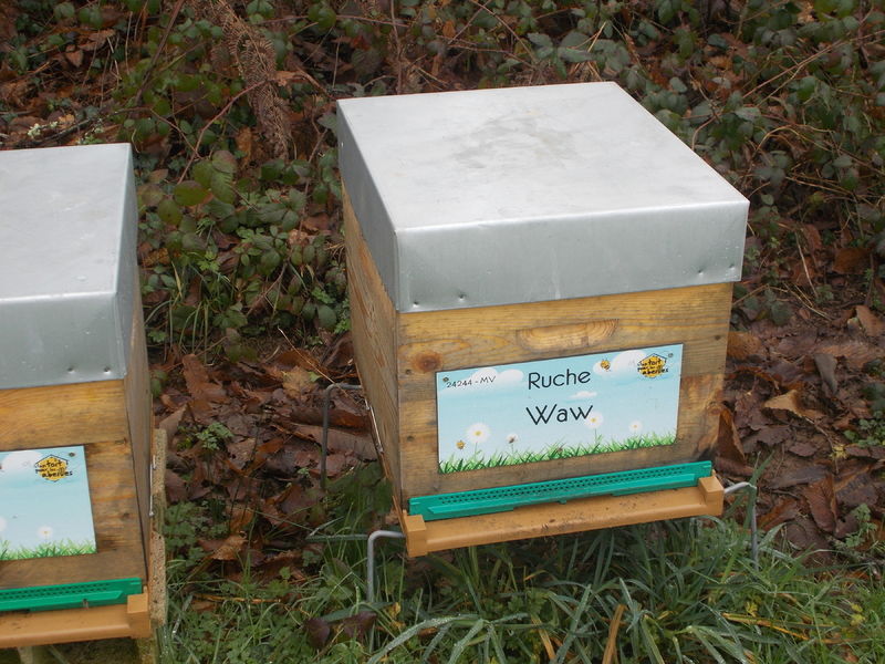 La ruche Waw