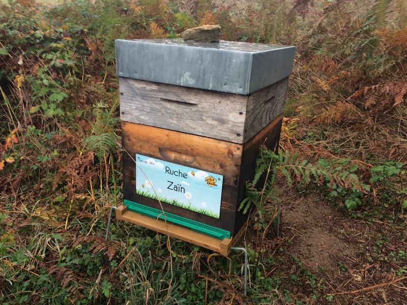 La ruche Zaïn