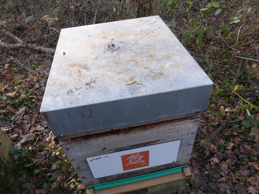 La ruche Alice Délice Meaux