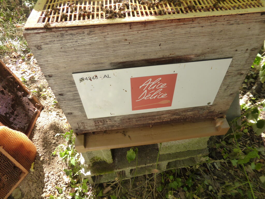 La ruche Alice Délice Meaux