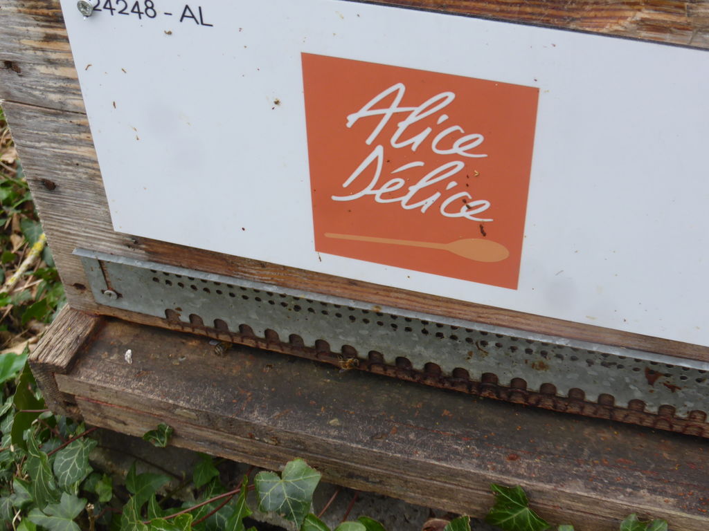 La ruche Alice Délice Meaux
