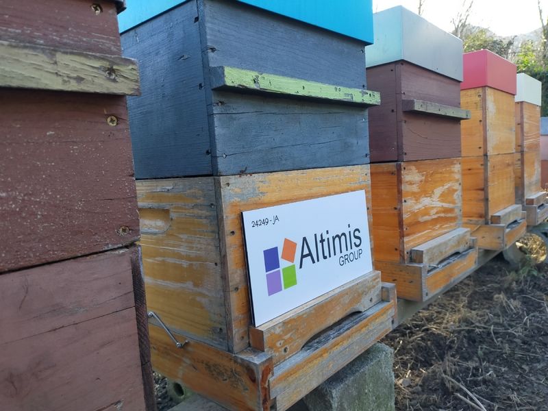 La ruche Altimis group & co