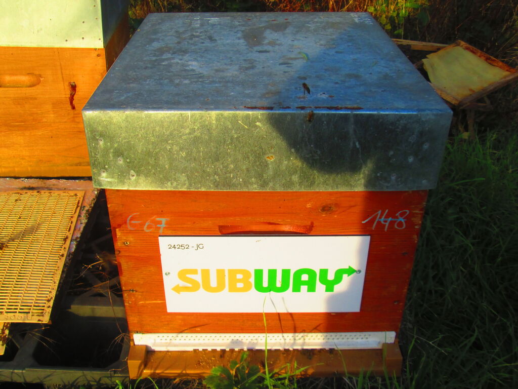 La ruche SARL Subwaynoyelles