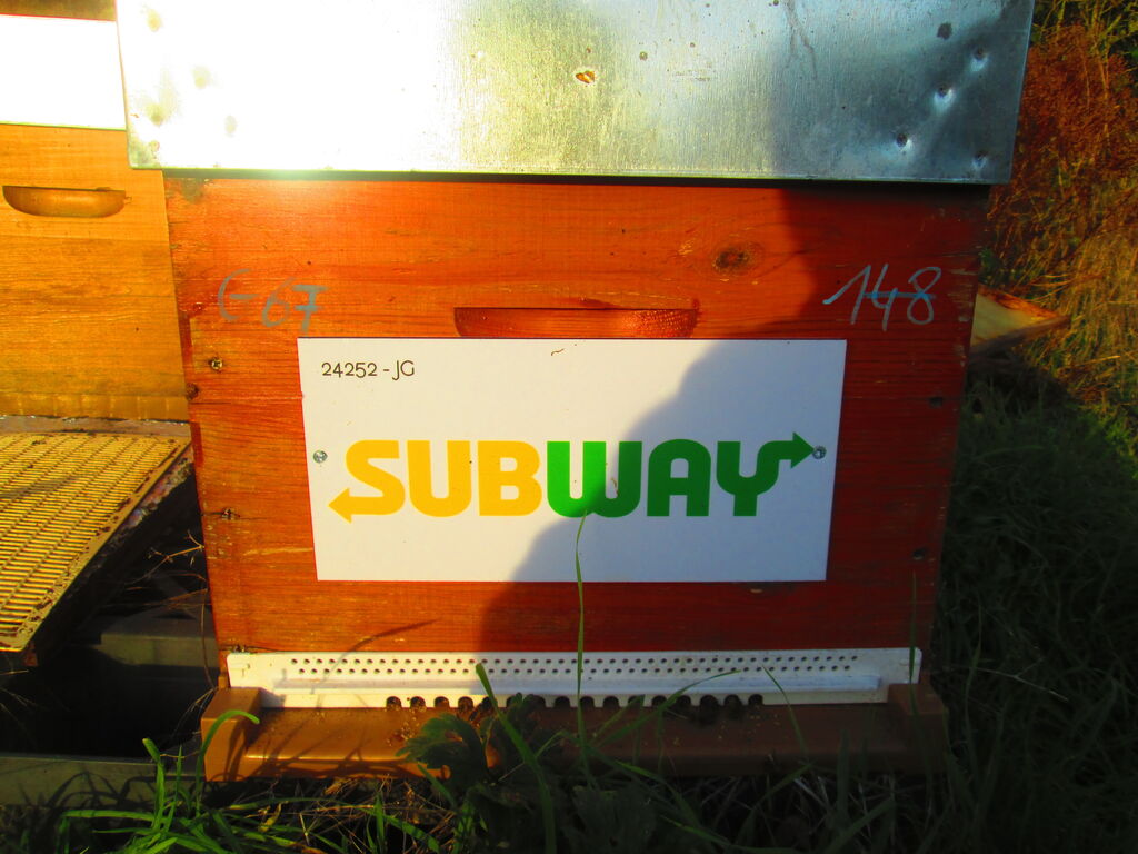 La ruche SARL Subwaynoyelles