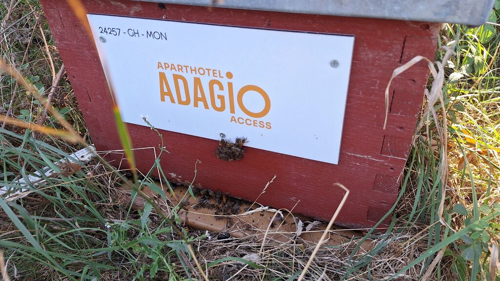 La ruche Adagio access Montpellier