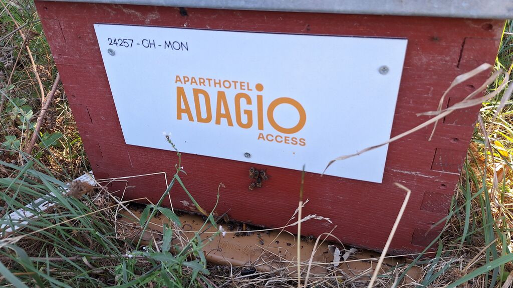 La ruche Adagio access Montpellier