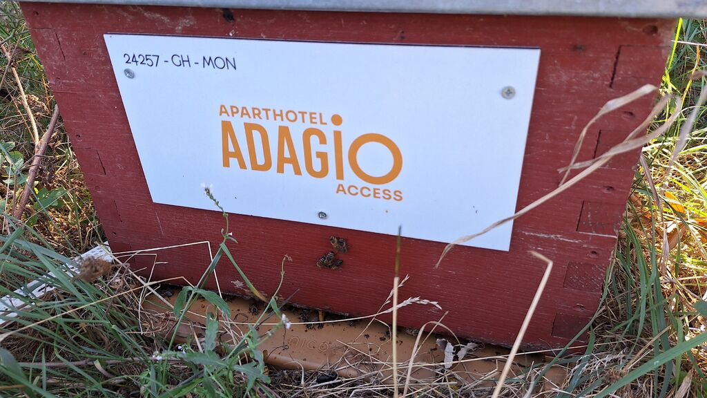 La ruche Adagio access Montpellier