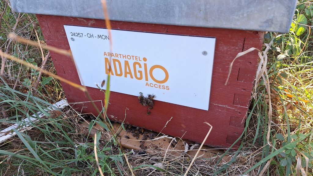 La ruche Adagio access Montpellier