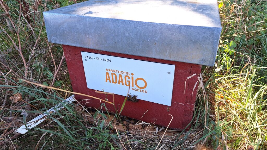 La ruche Adagio access Montpellier