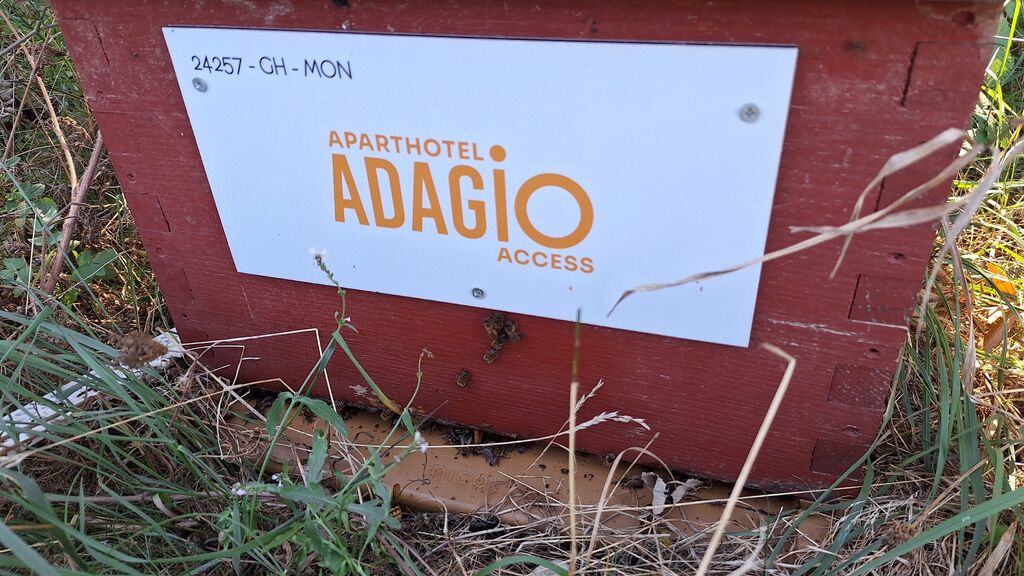 La ruche Adagio access Montpellier