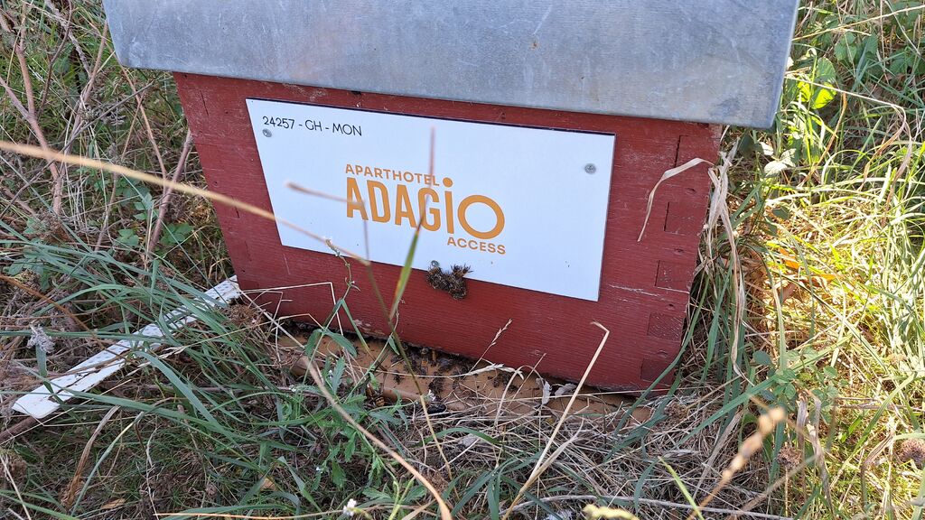 La ruche Adagio access Montpellier