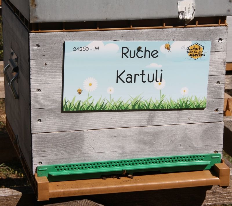 La ruche Kartuli