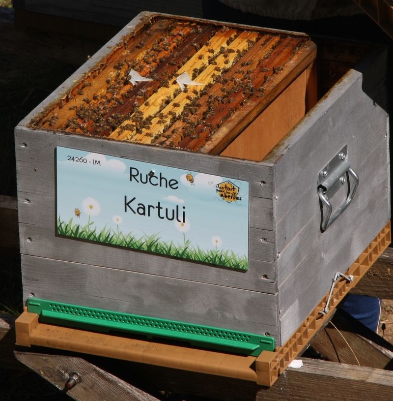 La ruche Kartuli