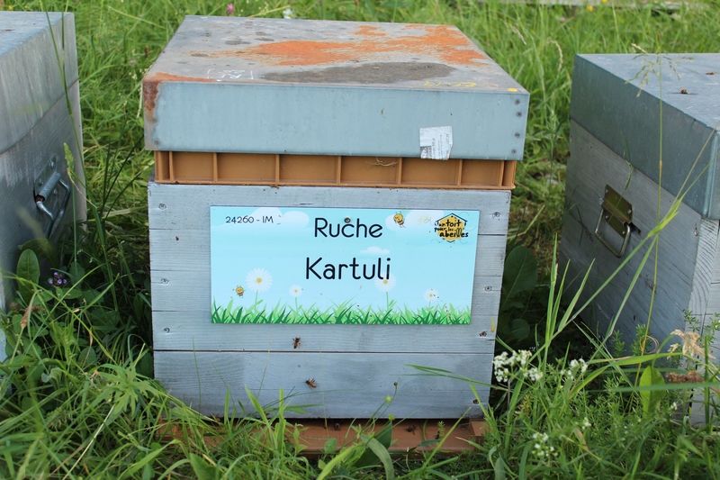 La ruche Kartuli