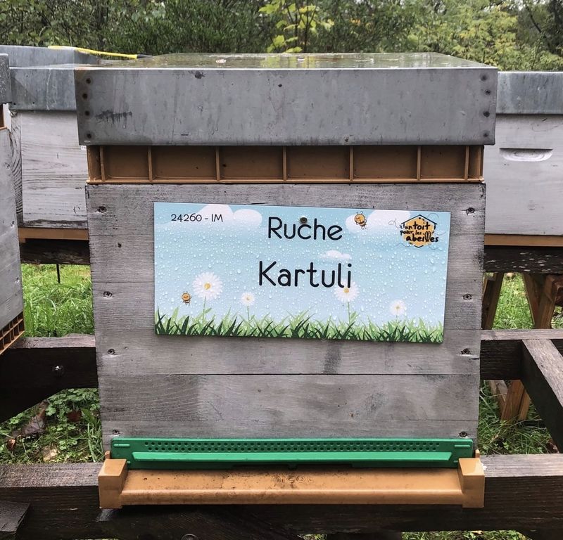 La ruche Kartuli