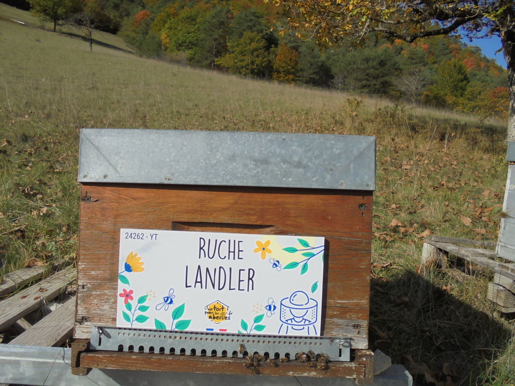La ruche
