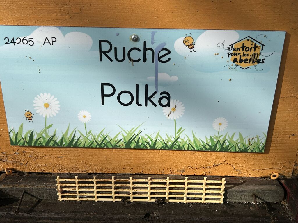 La ruche Polka