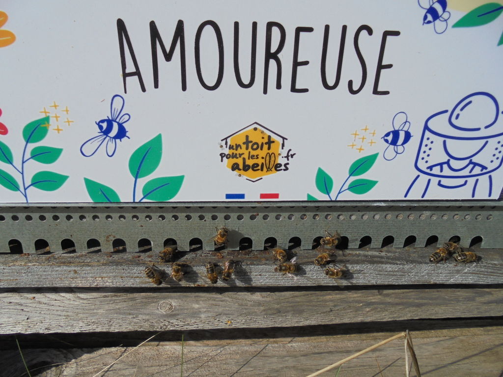 La ruche Amoureuse