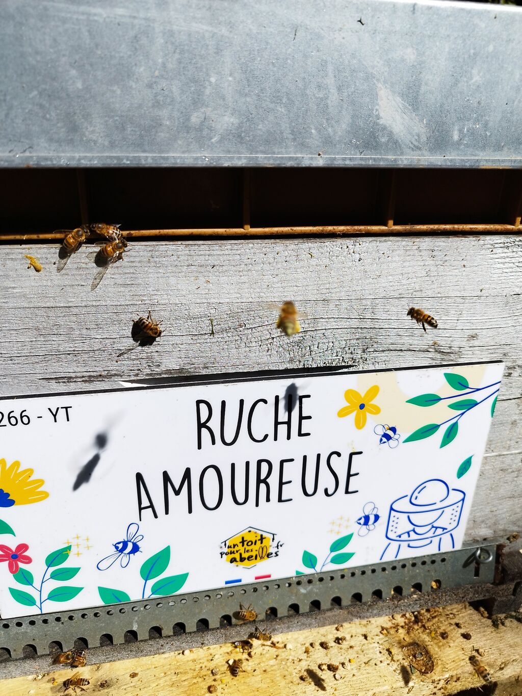 La ruche Amoureuse