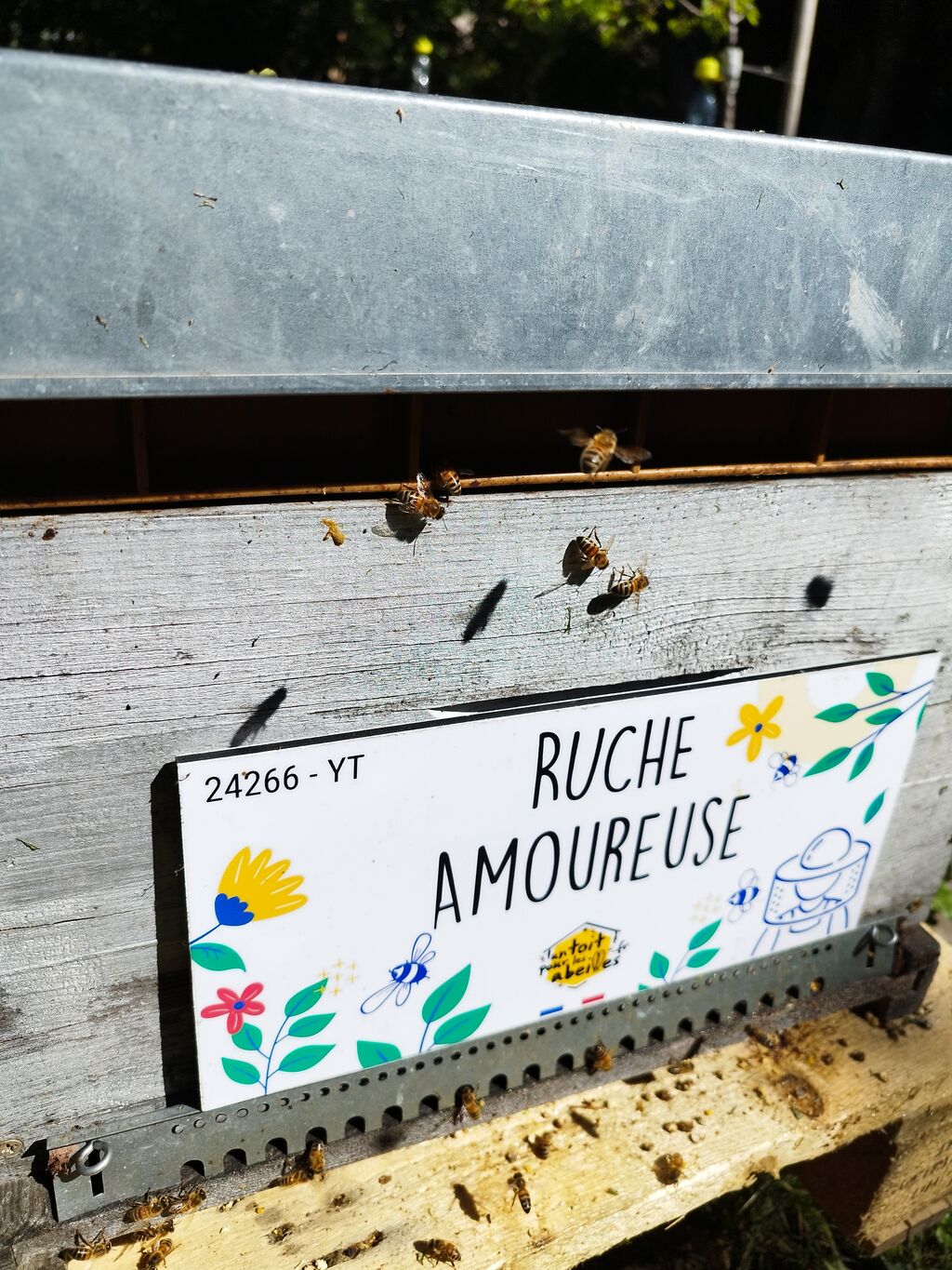 La ruche Amoureuse