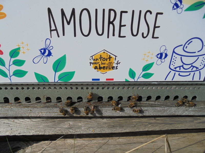 La ruche Amoureuse