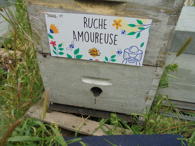 La ruche