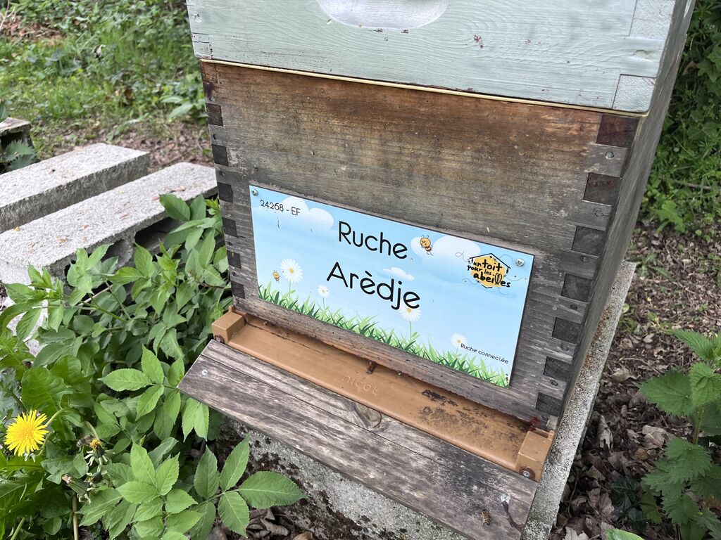 La ruche Arèdje
