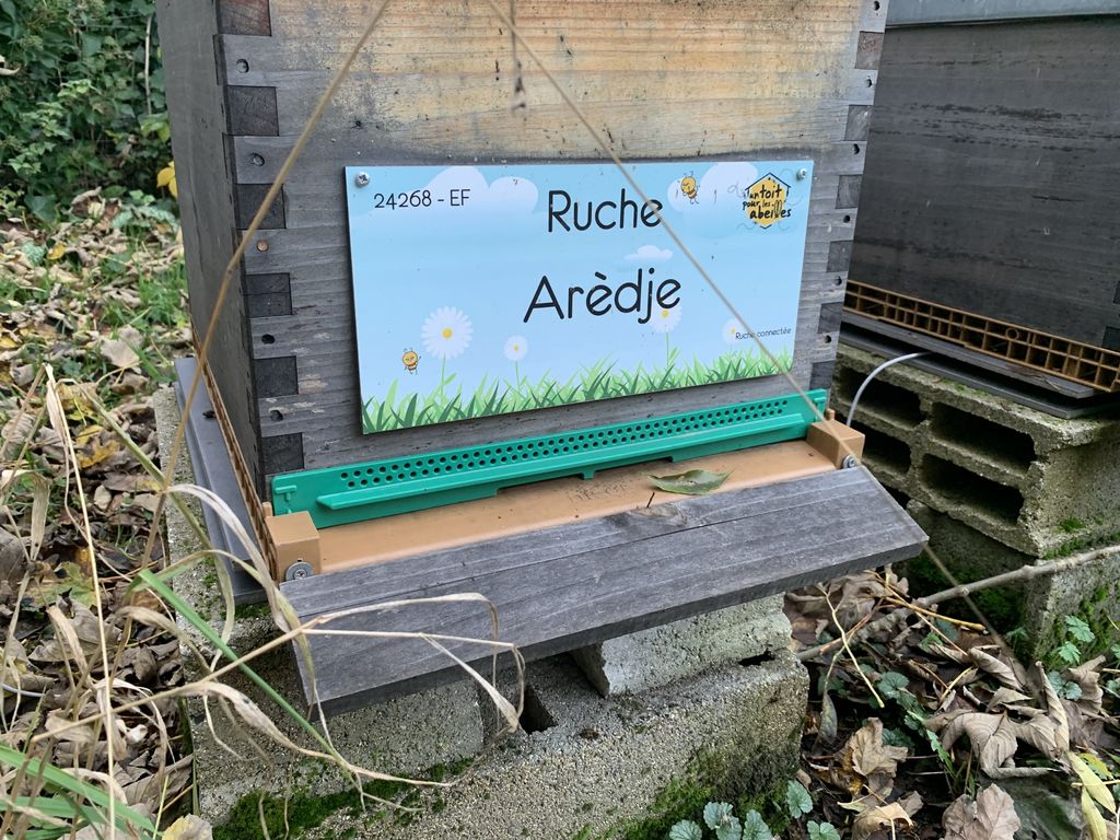 La ruche Arèdje