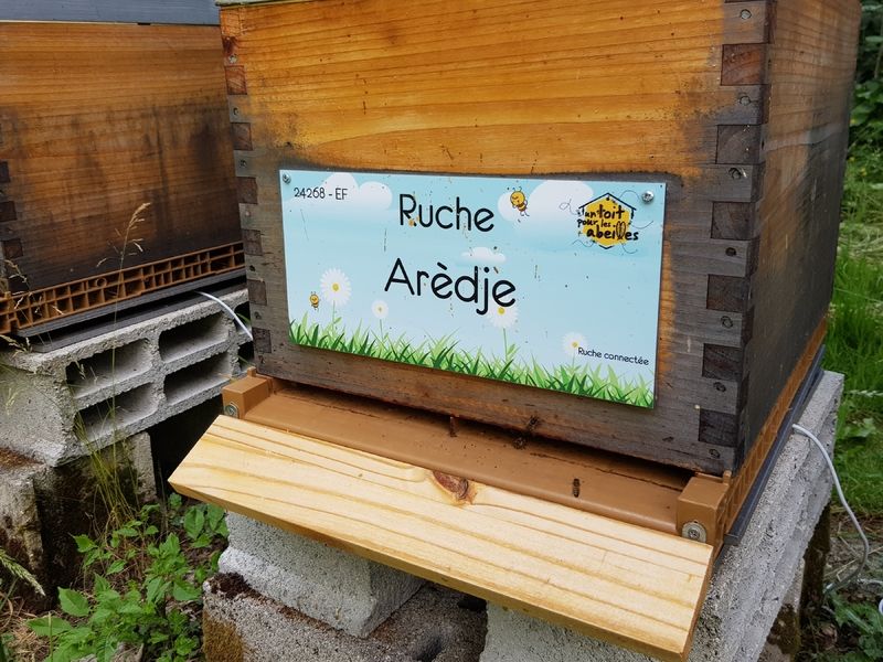 La ruche Arèdje