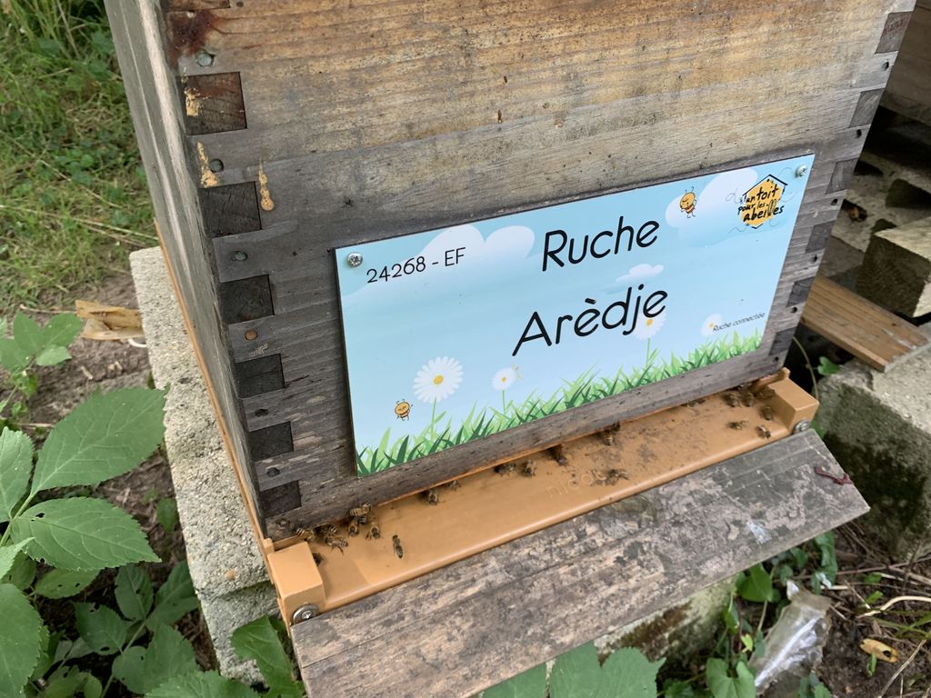 La ruche Arèdje
