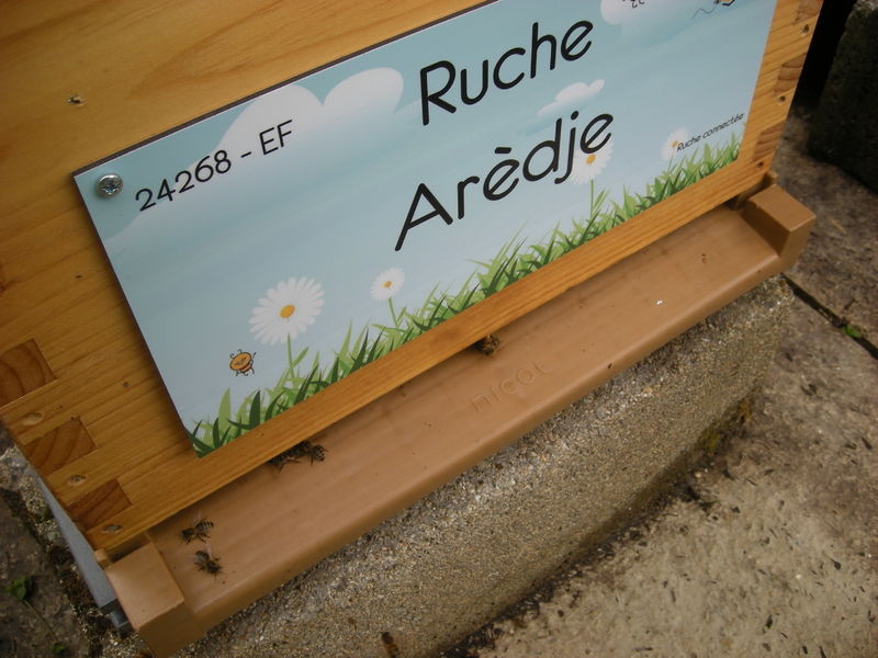 La ruche Arèdje
