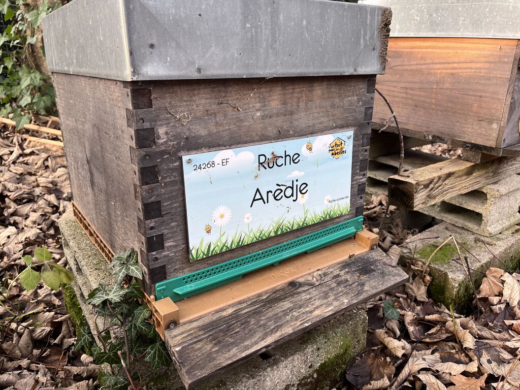 La ruche Arèdje