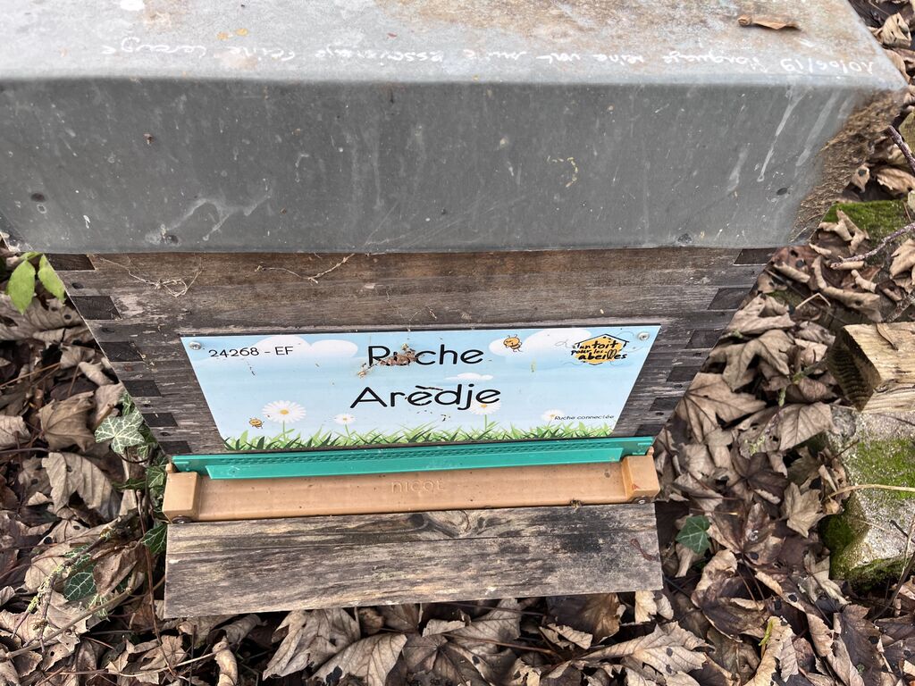 La ruche Arèdje