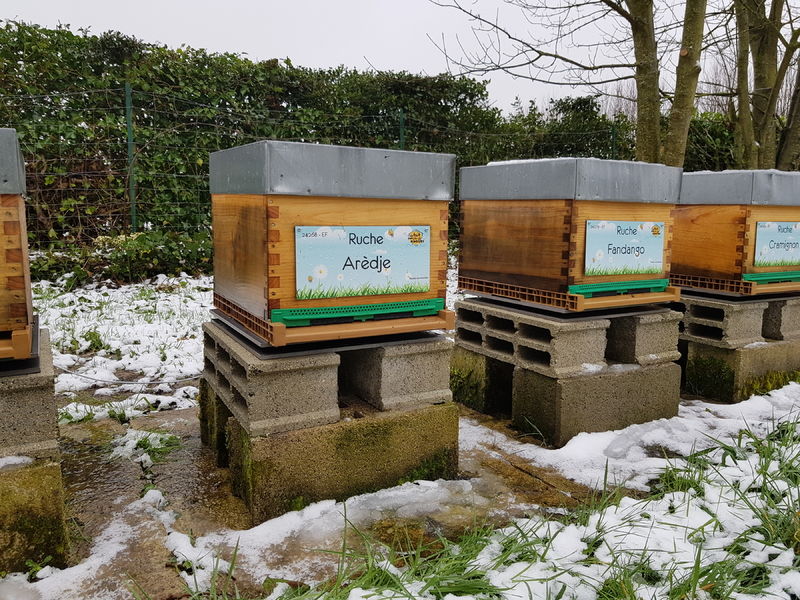 La ruche Arèdje