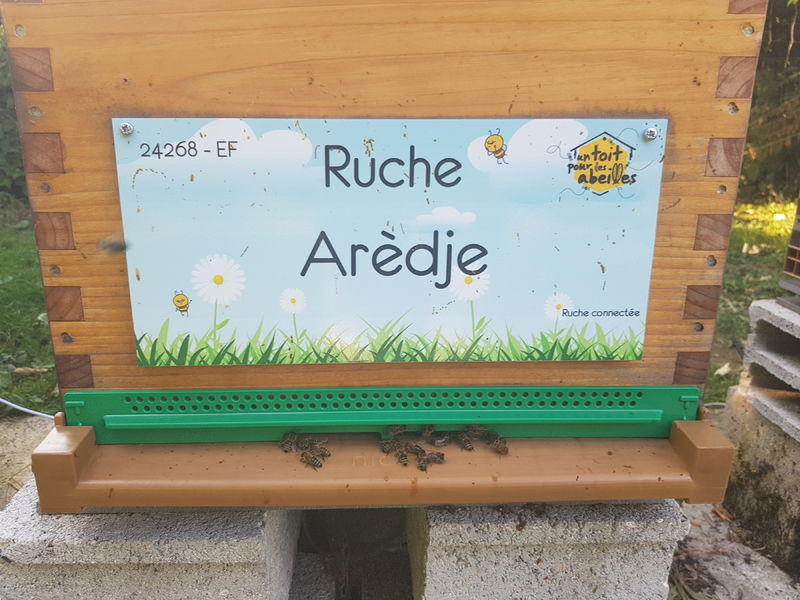 La ruche Arèdje