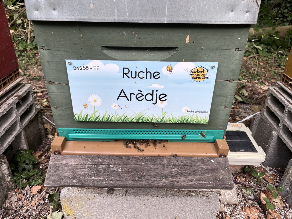 La ruche Arèdje