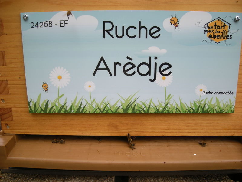 La ruche Arèdje