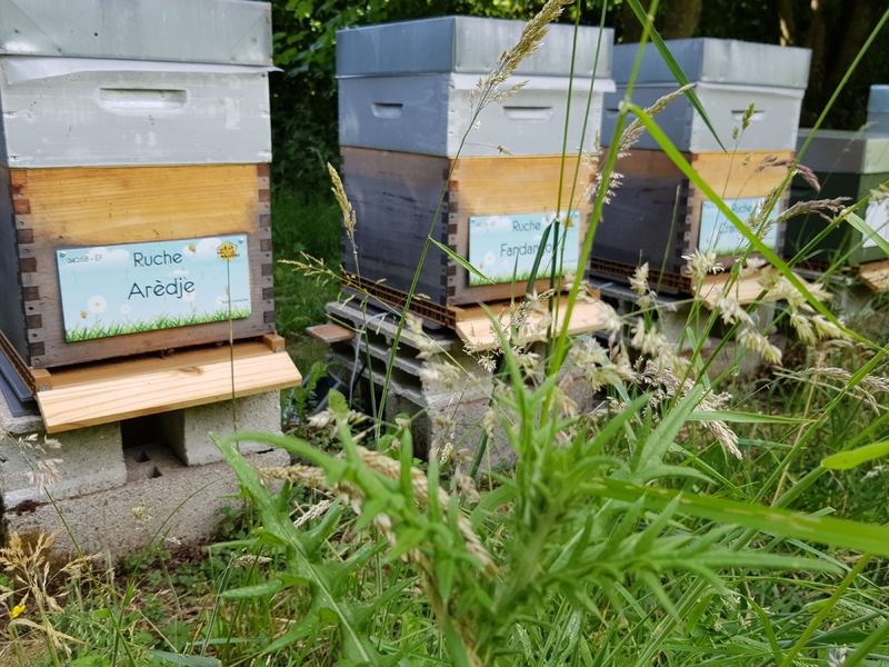 La ruche Arèdje