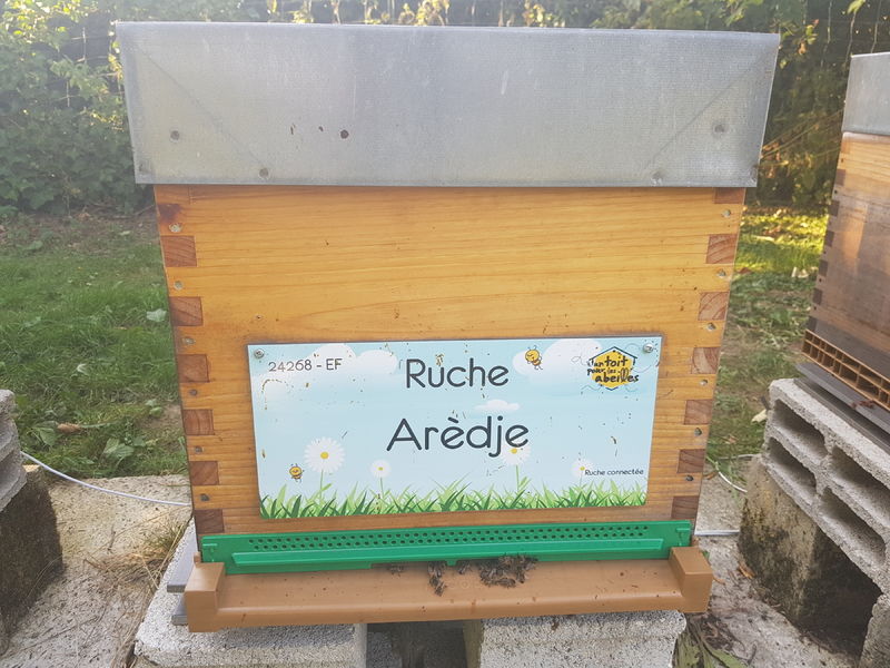 La ruche Arèdje