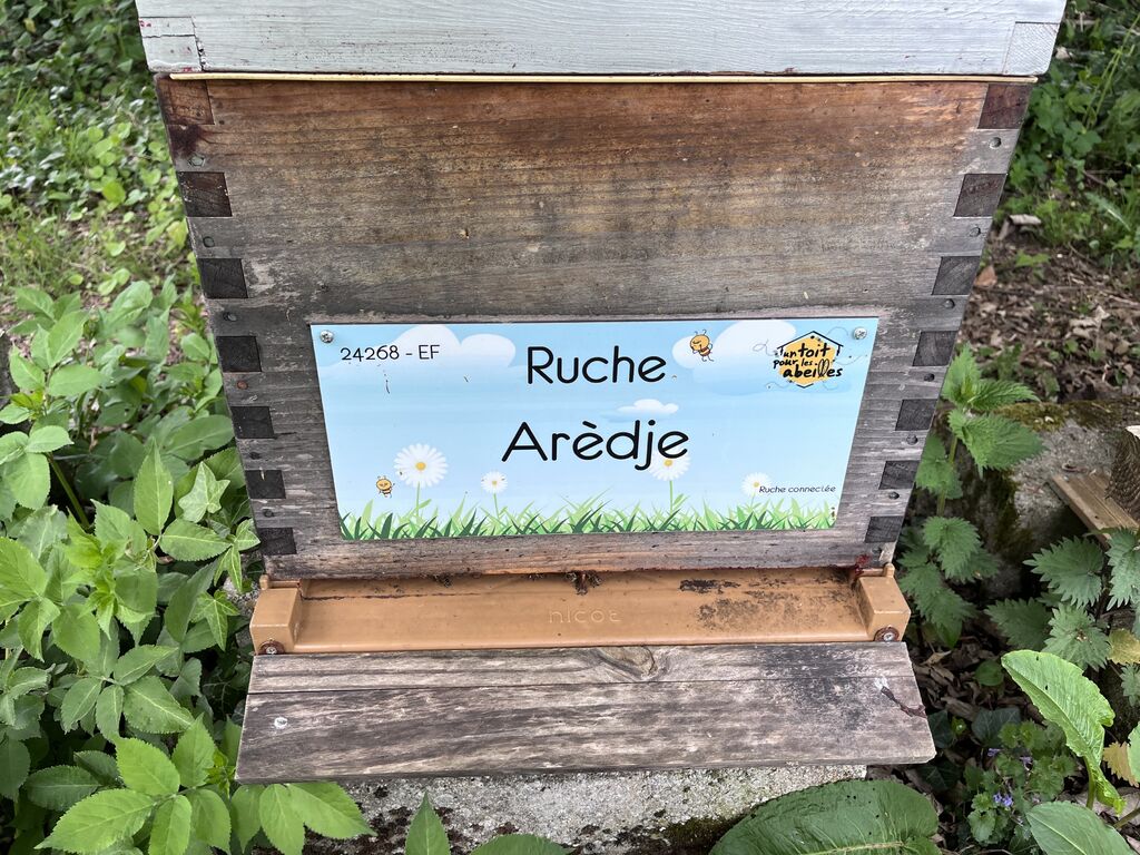 La ruche Arèdje