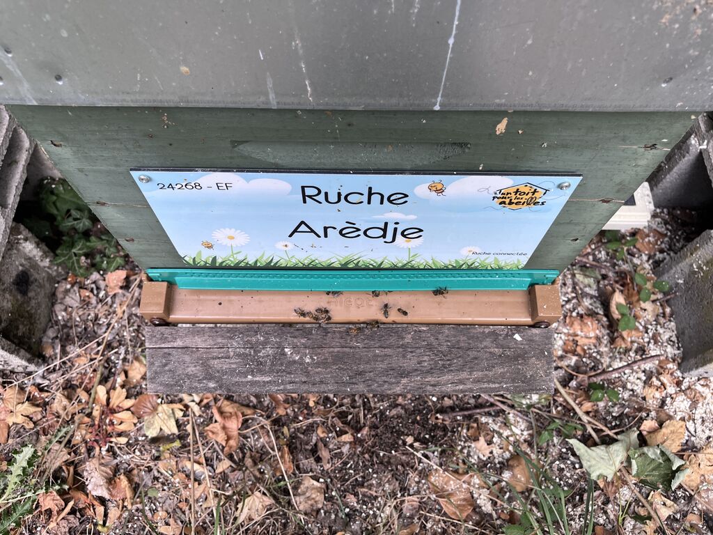 La ruche Arèdje