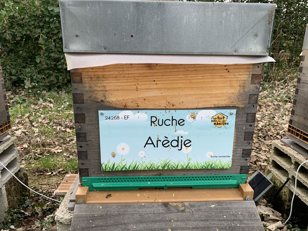 La ruche Arèdje