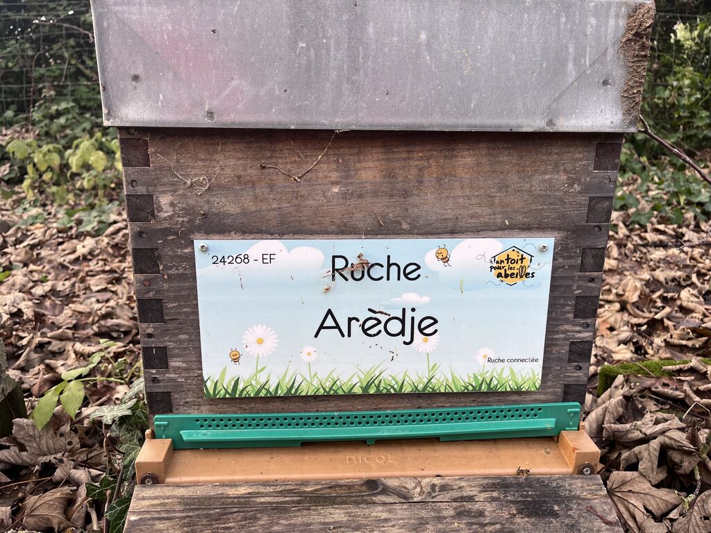 La ruche Arèdje